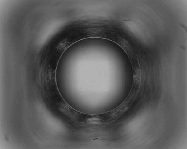 X0000091700430200708311057