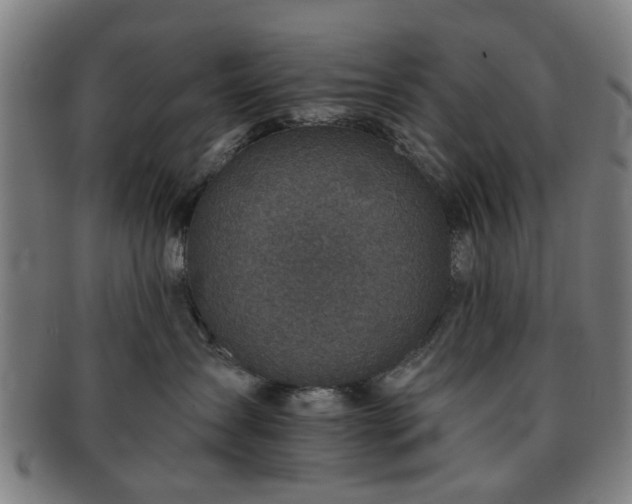 X0000091700431200708311057