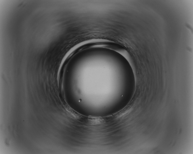 X0000091700432200708311057