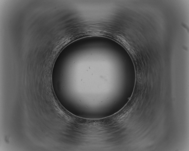 X0000091700433200708311057