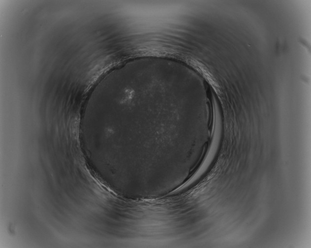 X0000091700434200708311057