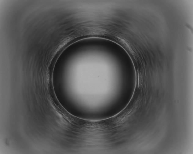 X0000091700435200708311057