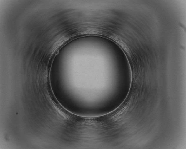 X0000091700437200708311057