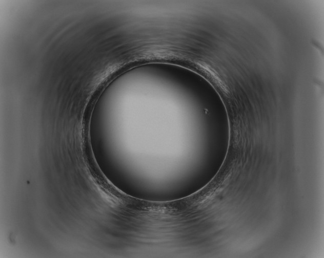 X0000091700439200708311057