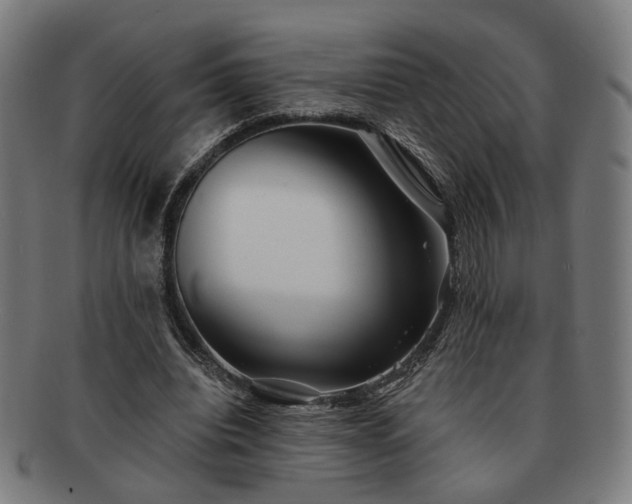 X0000091700440200708311057