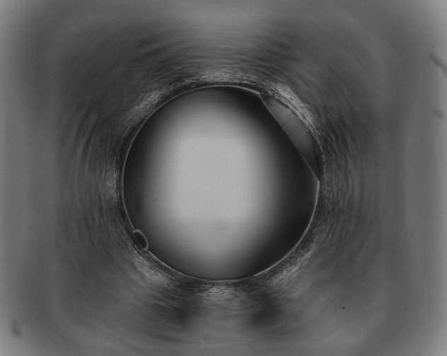X0000091700441200708311057