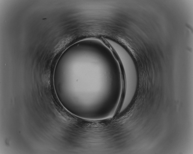 X0000091700443200708311057