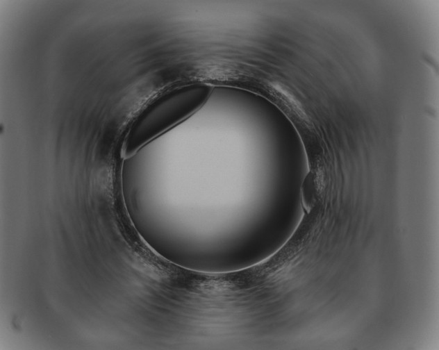 X0000091700444200708311057