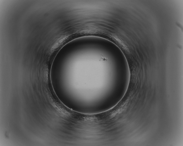 X0000091700446200708311057