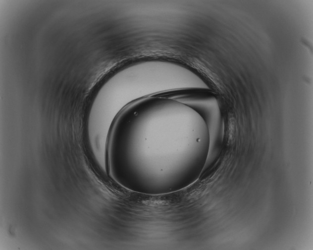 X0000091700448200708311057