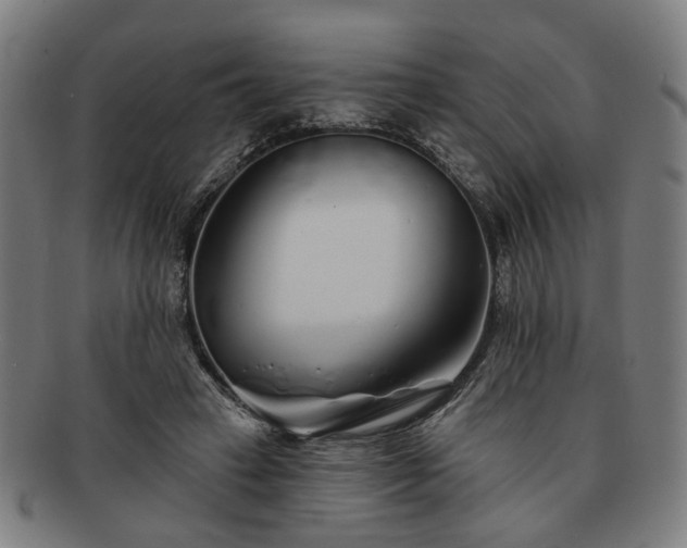 X0000091700449200708311057