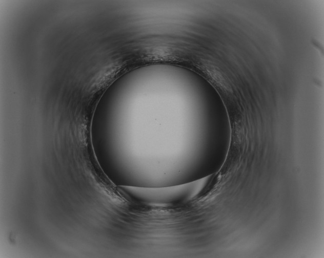 X0000091700450200708311057