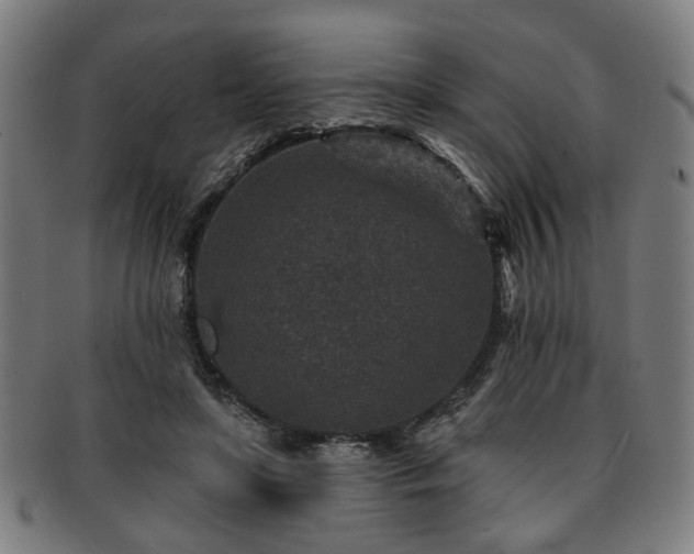 X0000091700451200708311057
