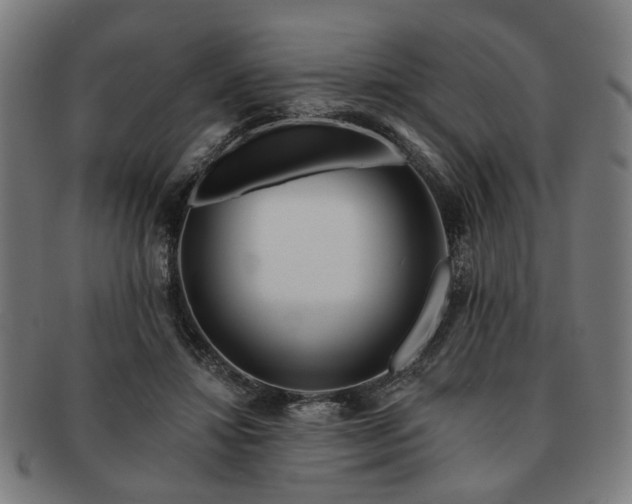 X0000091700452200708311057
