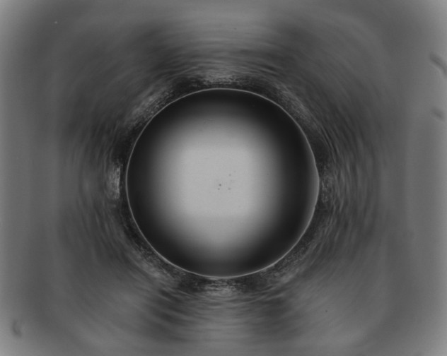 X0000091700454200708311057