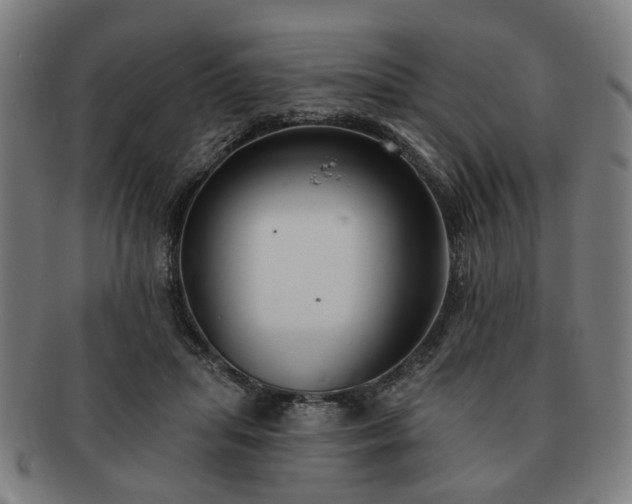 X0000091700455200708311057