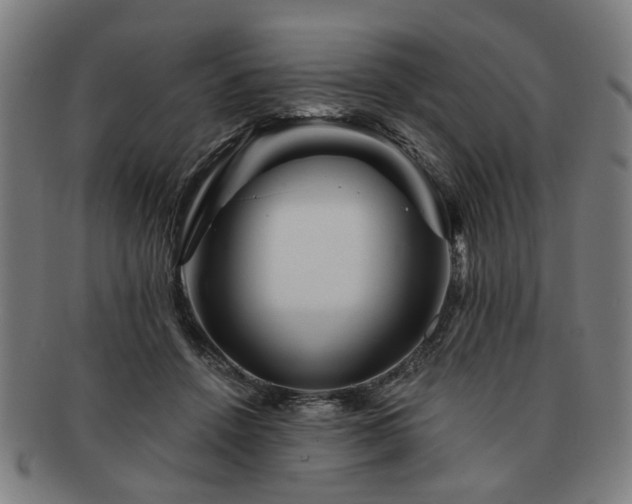 X0000091700456200708311057