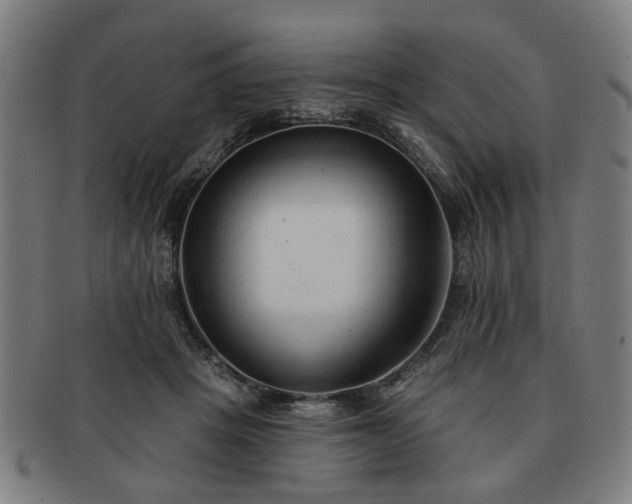 X0000091700457200708311057