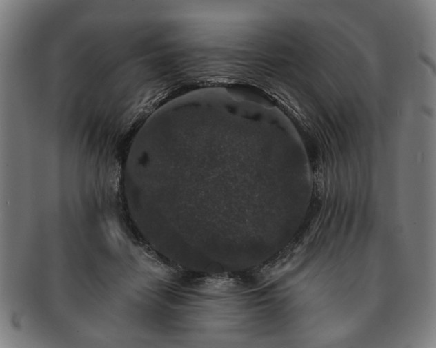 X0000091700458200708311057