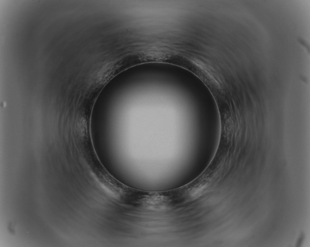 X0000091700459200708311057