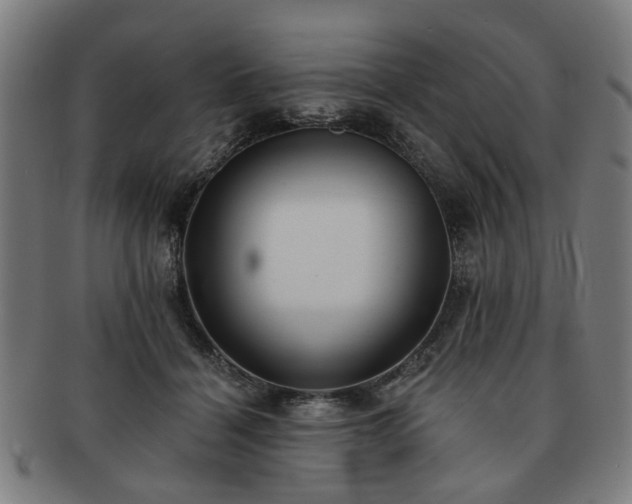 X0000091700460200708311057