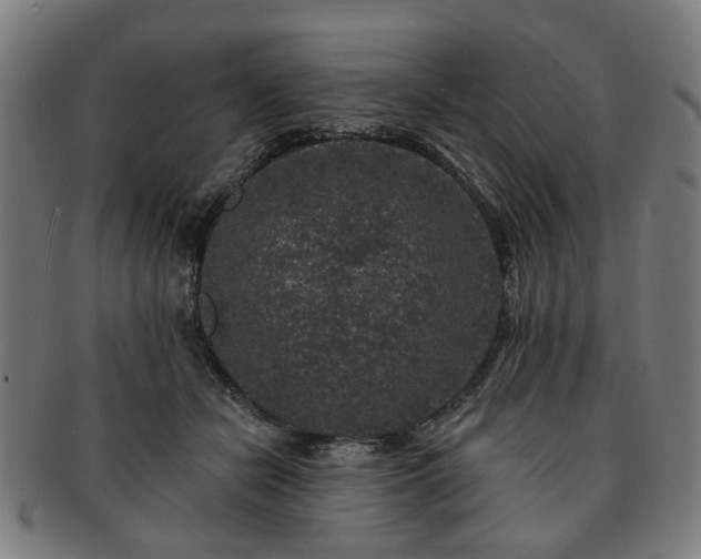 X0000091700462200708311057