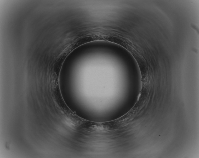 X0000091700464200708311057