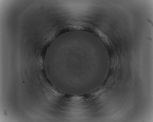 X0000091700465200708311057