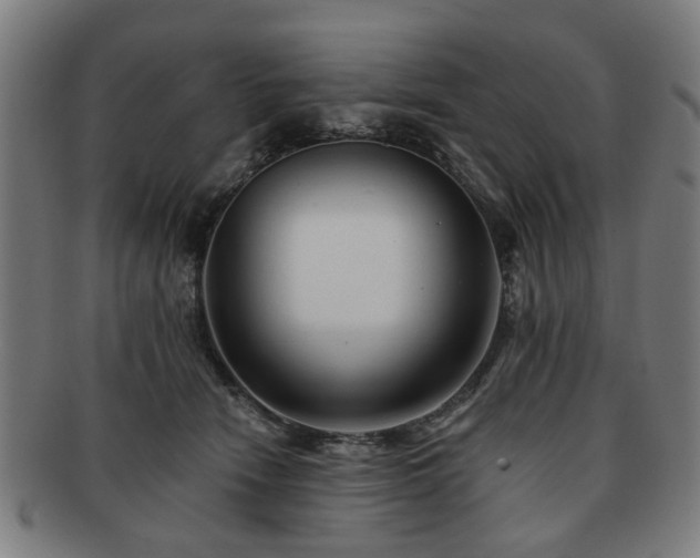 X0000091700466200708311057