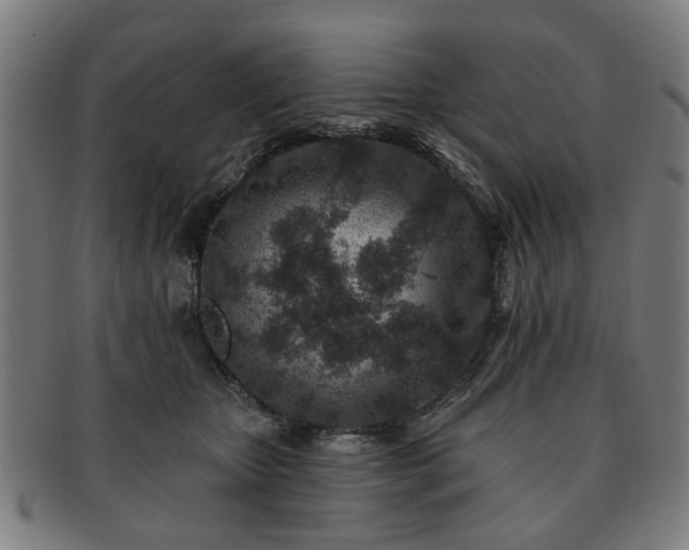 X0000091700467200708311057