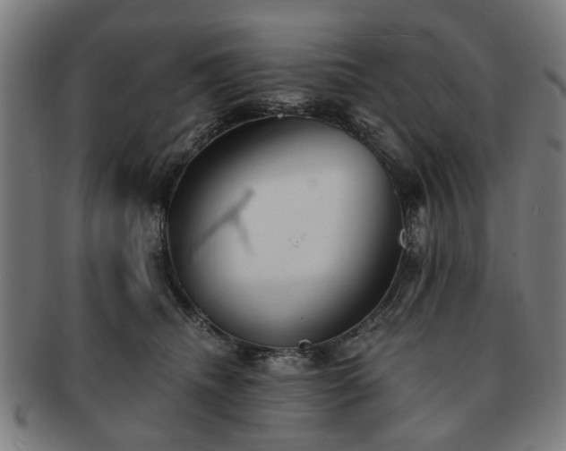 X0000091700468200708311057