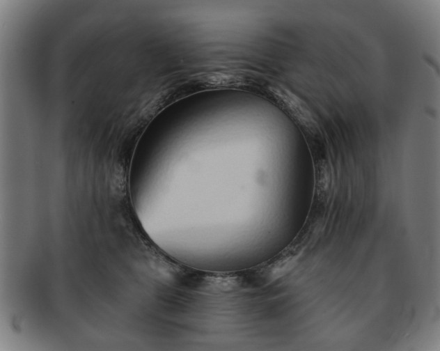 X0000091700469200708311057