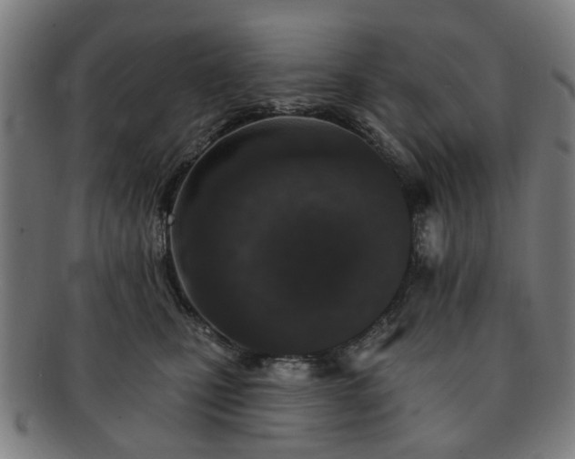 X0000091700471200708311057