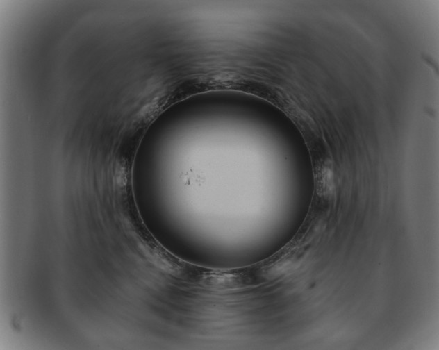 X0000091700472200708311057