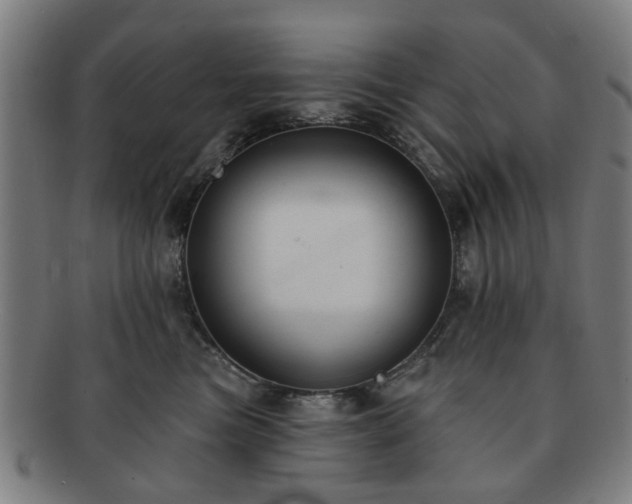 X0000091700473200708311057