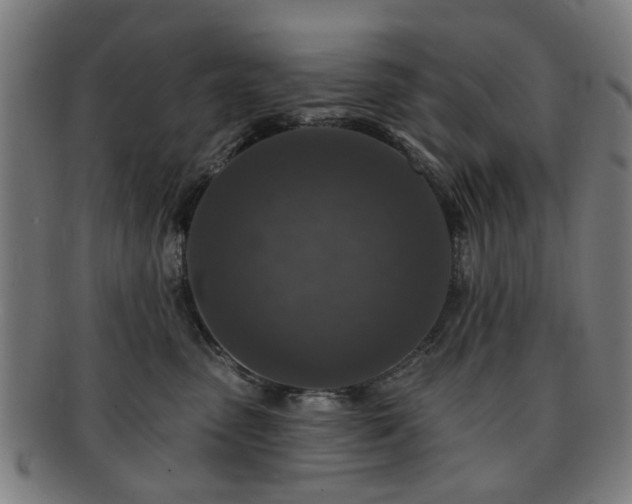 X0000091700475200708311057
