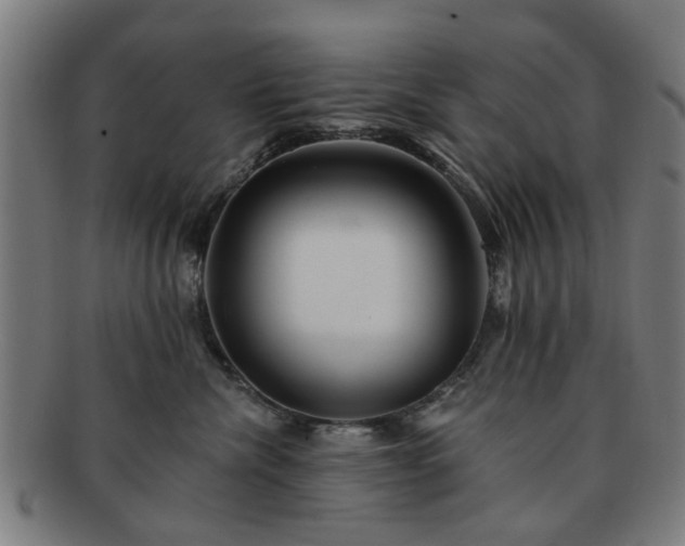 X0000091700476200708311057
