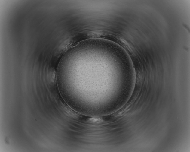 X0000091700477200708311057