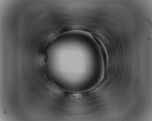 X0000091700478200708311057