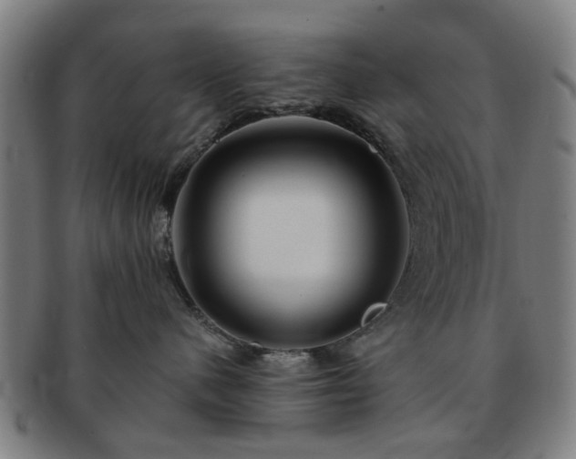 X0000091700480200708311057