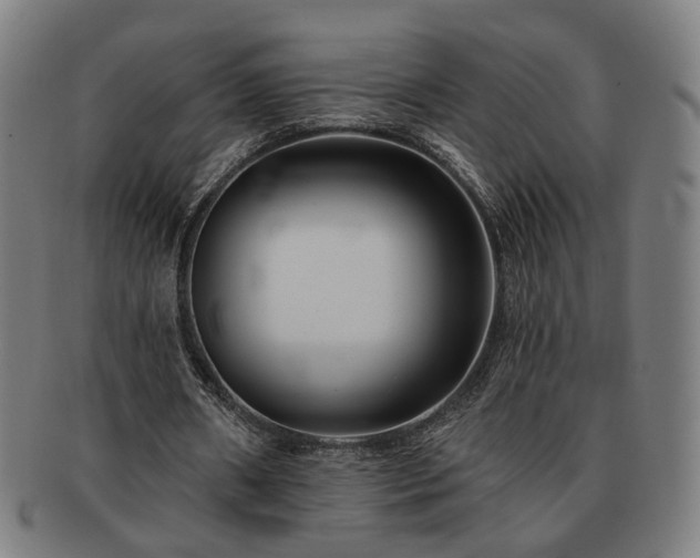 X0000091700482200708311056