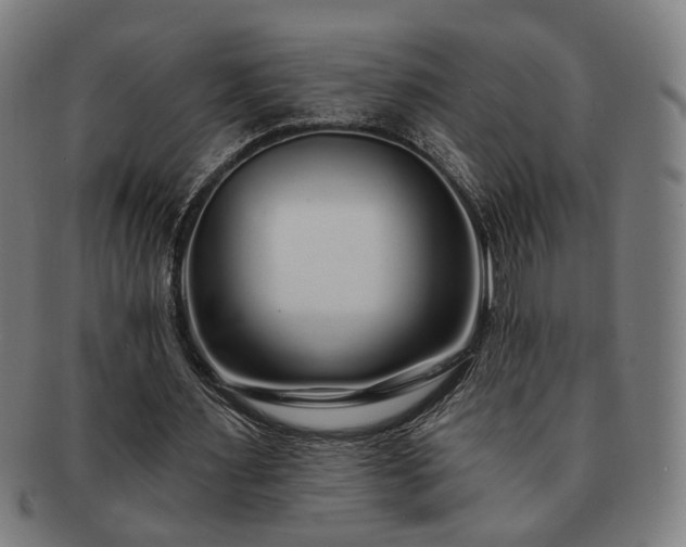 X0000091700483200708311056
