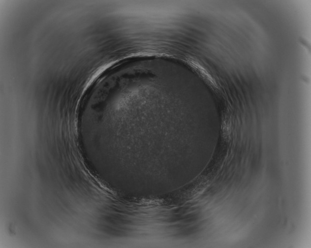 X0000091700484200708311056