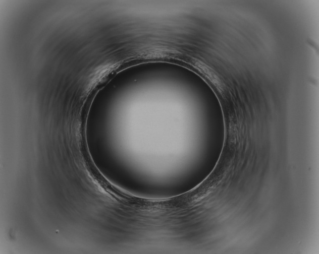 X0000091700485200708311056