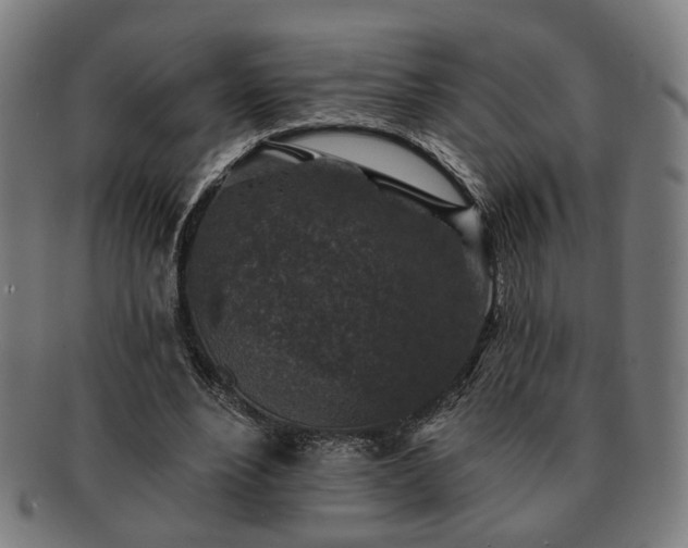 X0000091700488200708311056