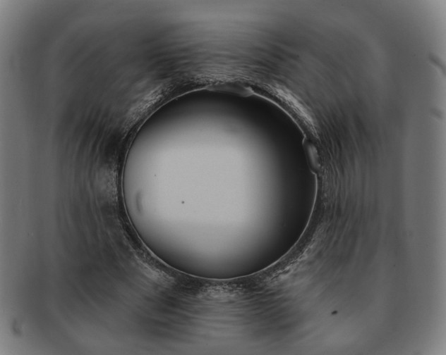 X0000091700489200708311056