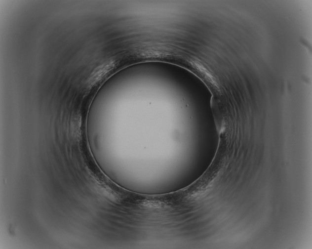 X0000091700490200708311056