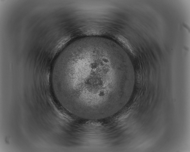 X0000091700491200708311056