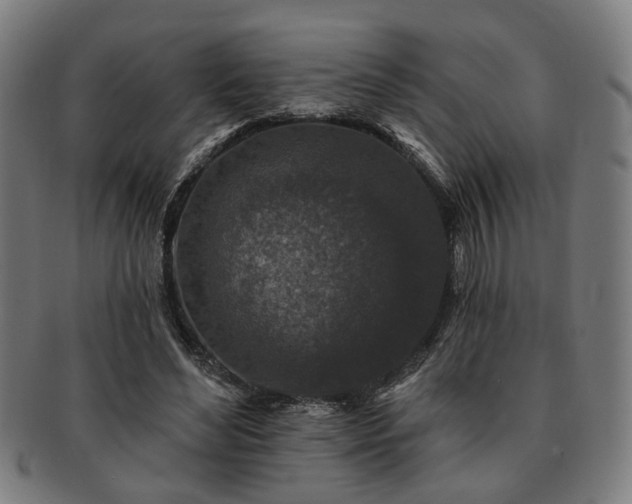 X0000091700492200708311056