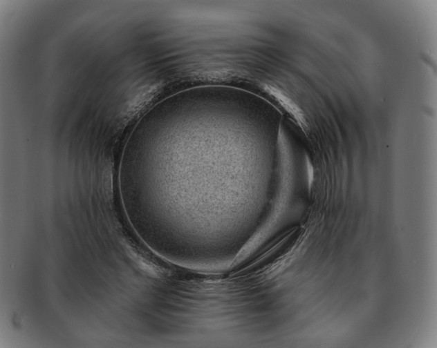 X0000091700493200708311056